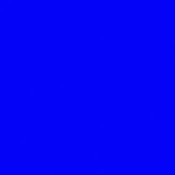 PutridCrest9955의 ⋆