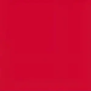 Profile image of 夢追翔