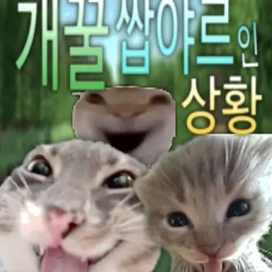 Profile image of 크러쉬