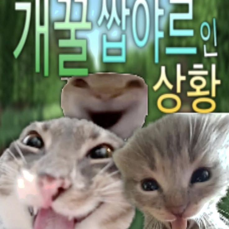 래퍼들 힐링여행 대표 이미지