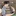 최도현