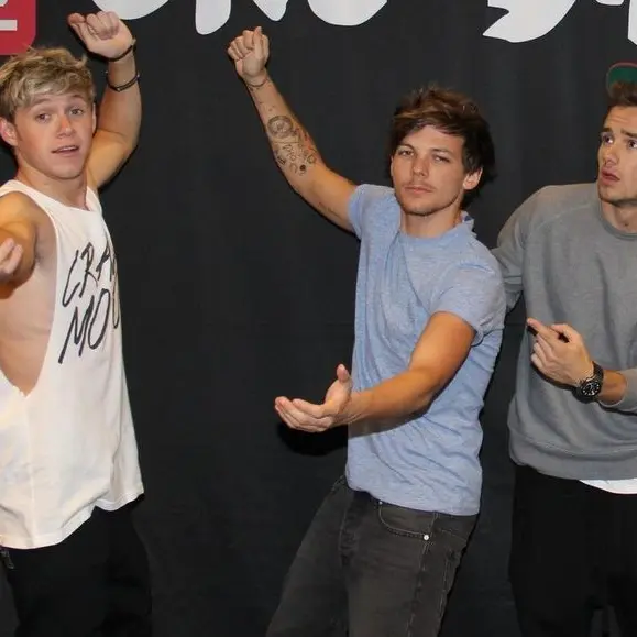 MutedFloss4565의 one direction