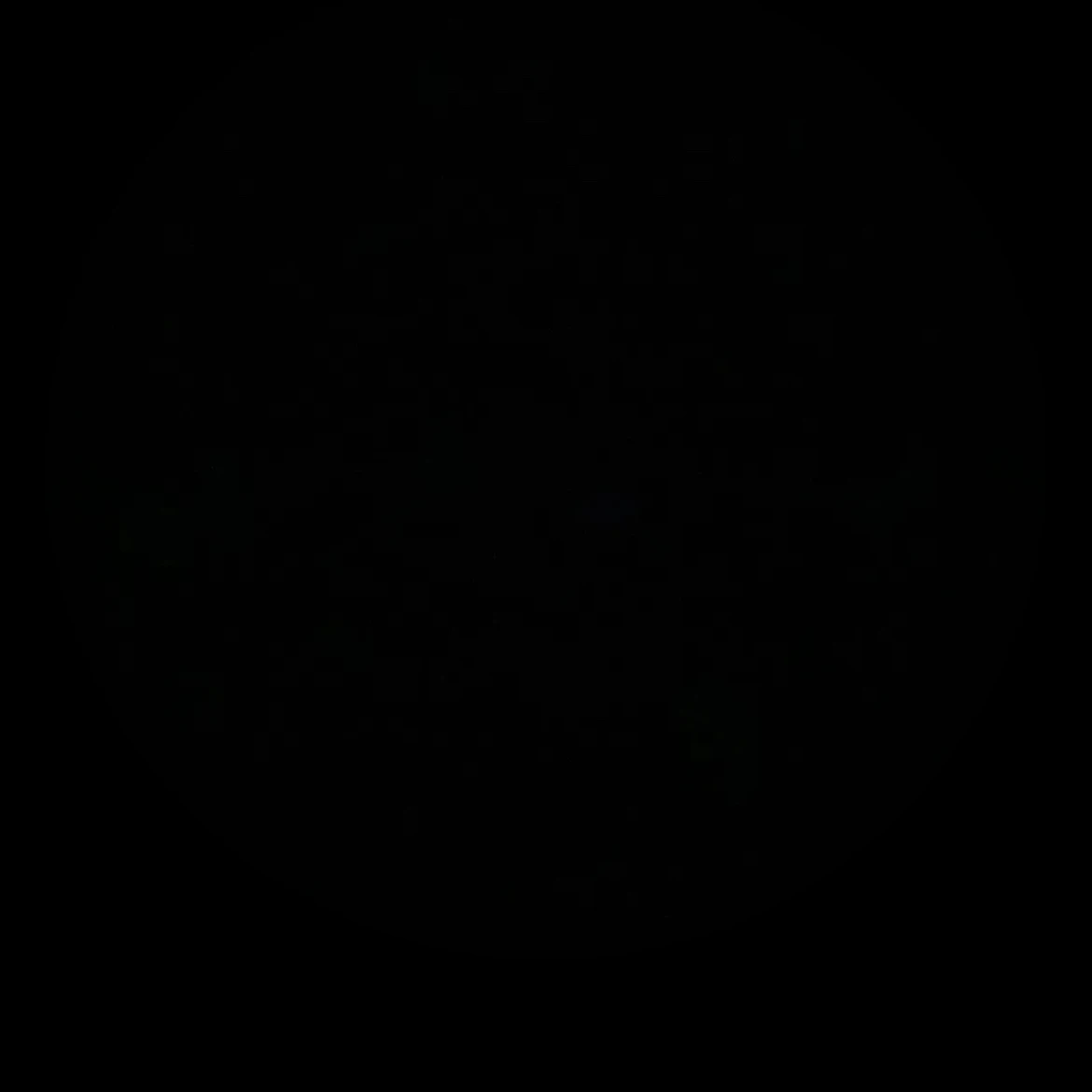 김동현
