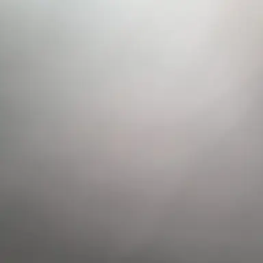 Profile image of 김현