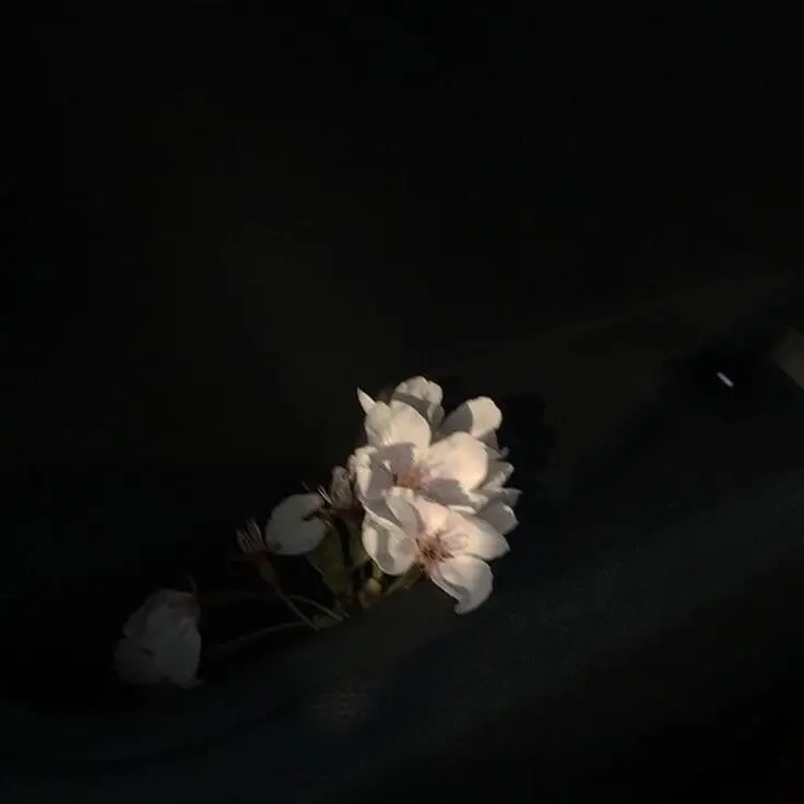 Love_bin의 서창빈