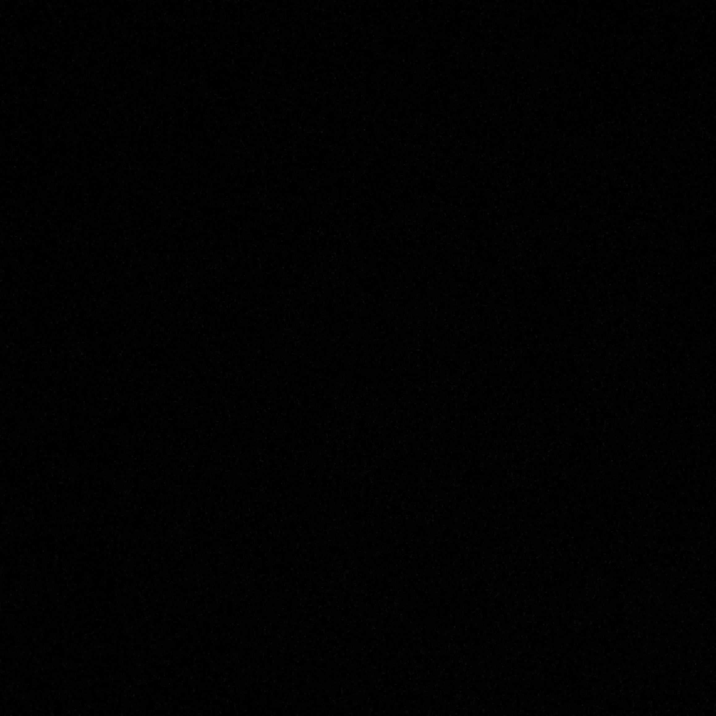 담력체험