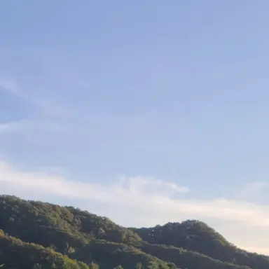 Profile image of 라일.