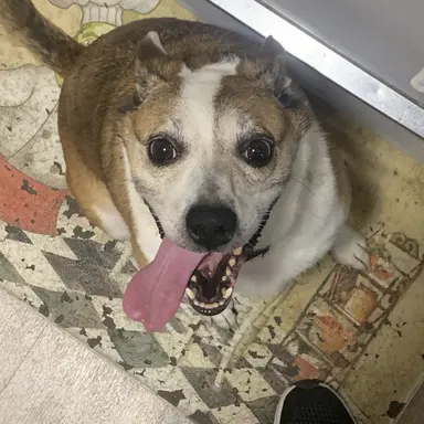 Profile image of Tei