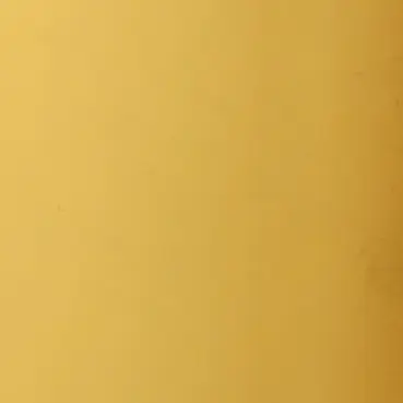 Profile image of 손설아