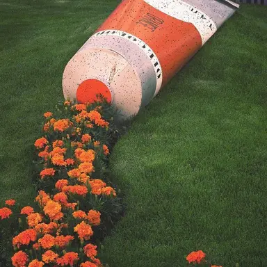 Profile image of 코마