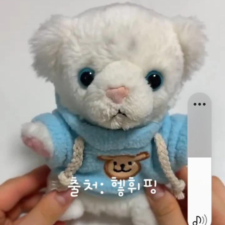 휘핑 아리 레핑