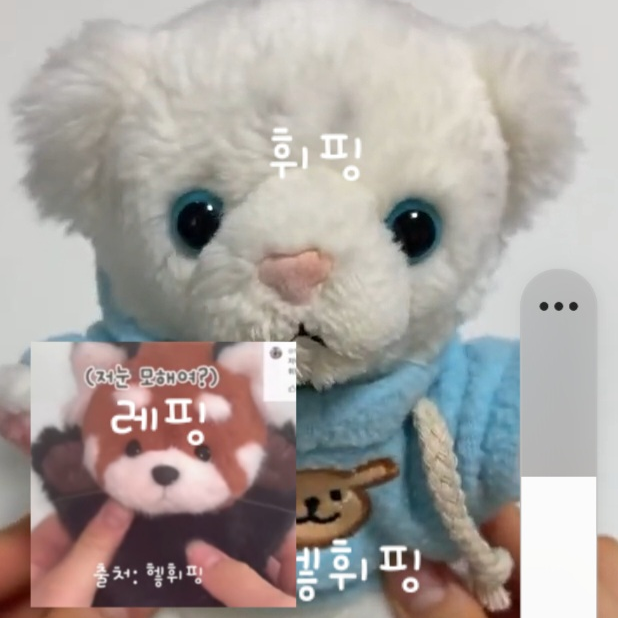 휘핑, 레핑 대표 이미지