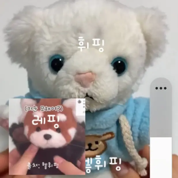 RawPipe8823의 휘핑, 레핑
