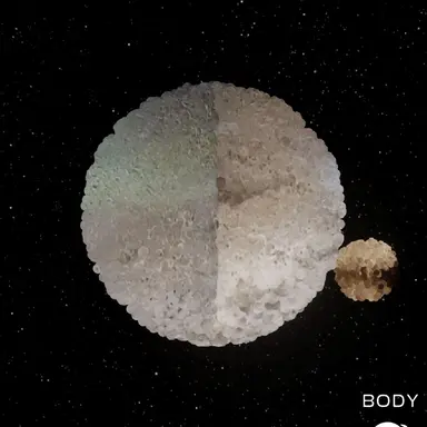 Profile image of 여우