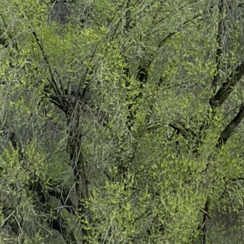 SevereDial3985의 Confessions in the Wild