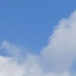 Profile image of 벨키