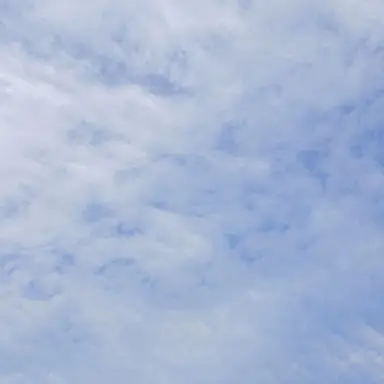Profile image of 에렌 예거