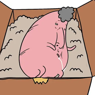 Profile image of 걸쭉이