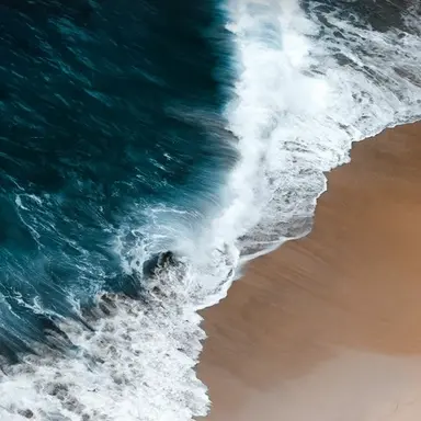 Profile image of Jong Kook