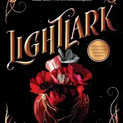 FussyMixer5641의 LightLark