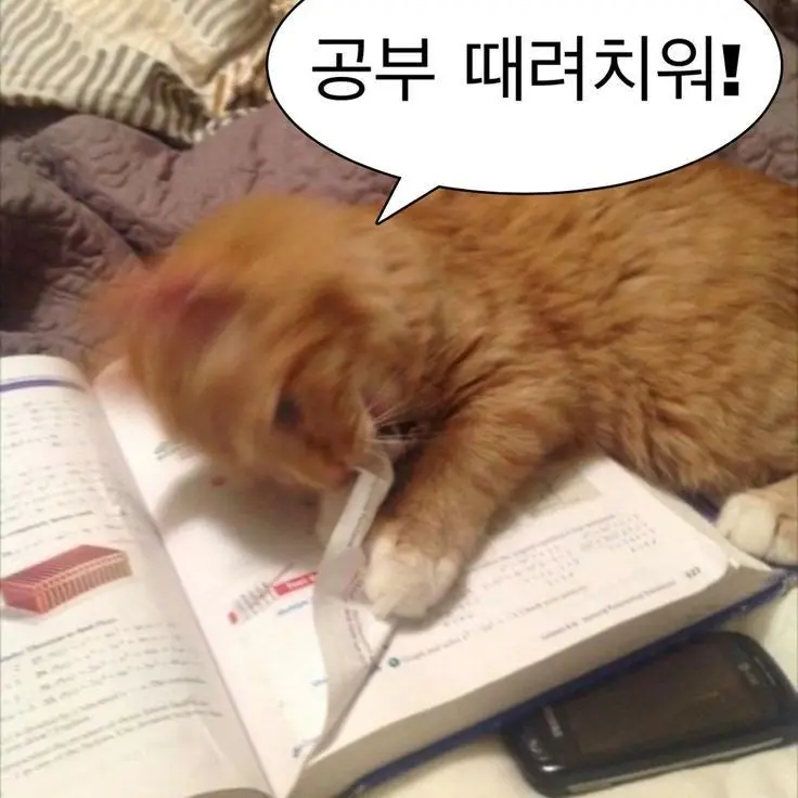 TartFern8643의 그저 할거없는거