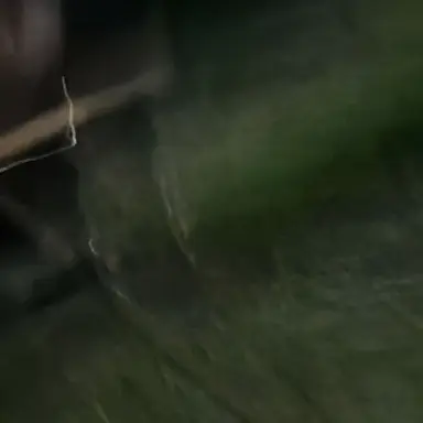 Profile image of 대고흔꿈 학생들