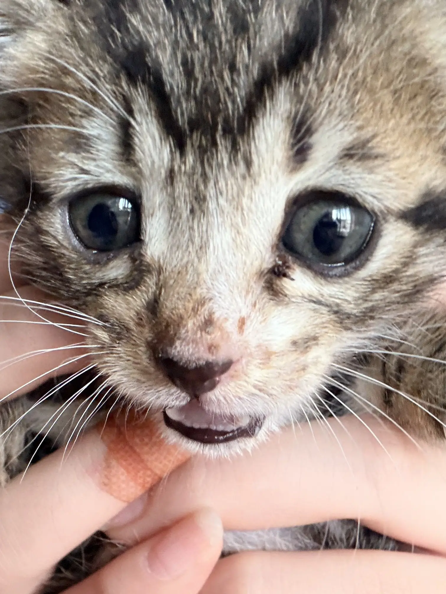 FluffyBread3721의 남편 김원필