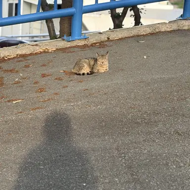 Profile image of 이쁘신 유저님덜