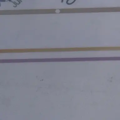 Profile image of 원필