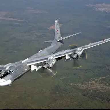 Profile image of Tu-95