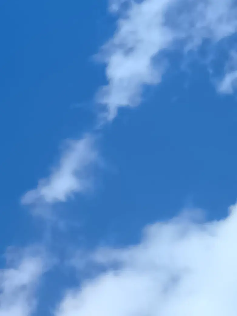 Nemukezamashi의 兄が二人います。