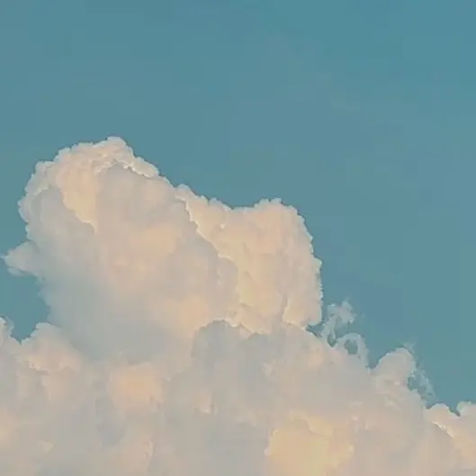 _sqkiika의 사기타니 류야