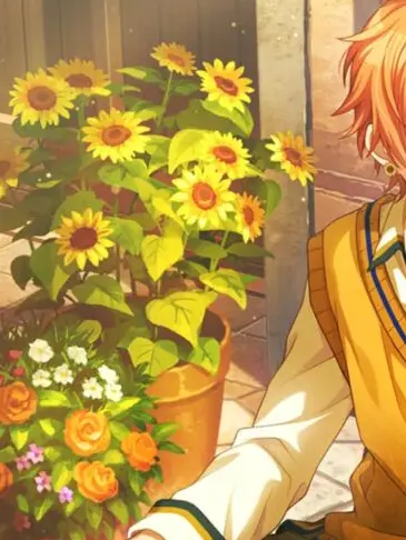 ikaika_의 *✿‧₊˚