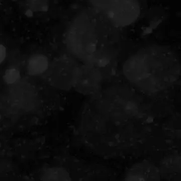 Profile image of 아쿠아