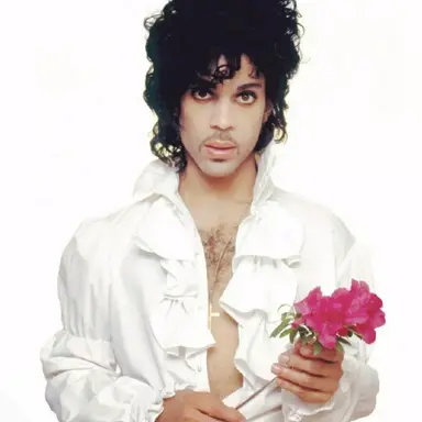 Profile image of Prince