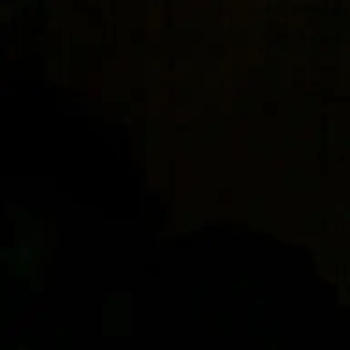 Profile image of baily