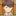 及川徹