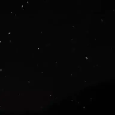 Profile image of 이리오