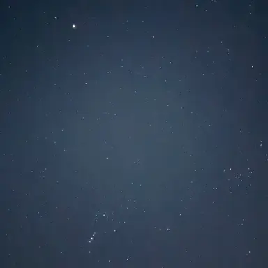 Profile image of ㅁㅈㅎ