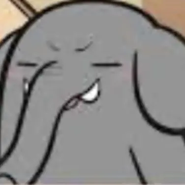 Profile image of 코끼리