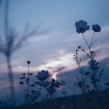 Profile image of モブ子