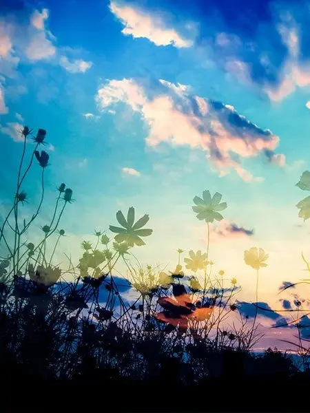 Colorful_future.의 一生の、片想い。