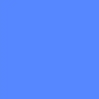 Profile image of 若井