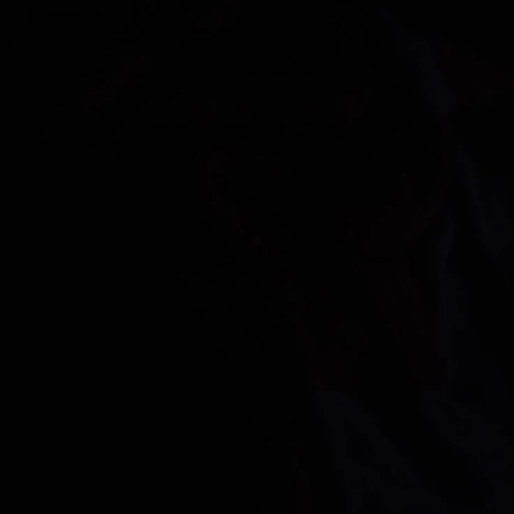 유상현
