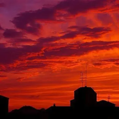 Profile image of 라더