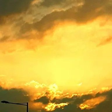 Profile image of 각별