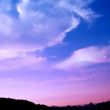 Profile image of 수현