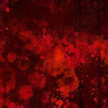 AntsyBone6227의 変わらぬ夢を見続けた少女