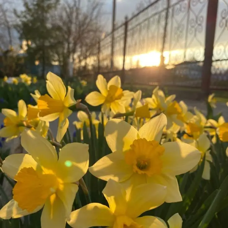 DullChili1126의 꿈에서 나오는 그 ××