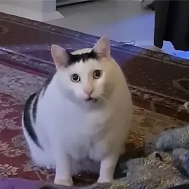 Profile image of Random characters